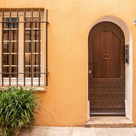 In The Heart Of * Saint-Tropez